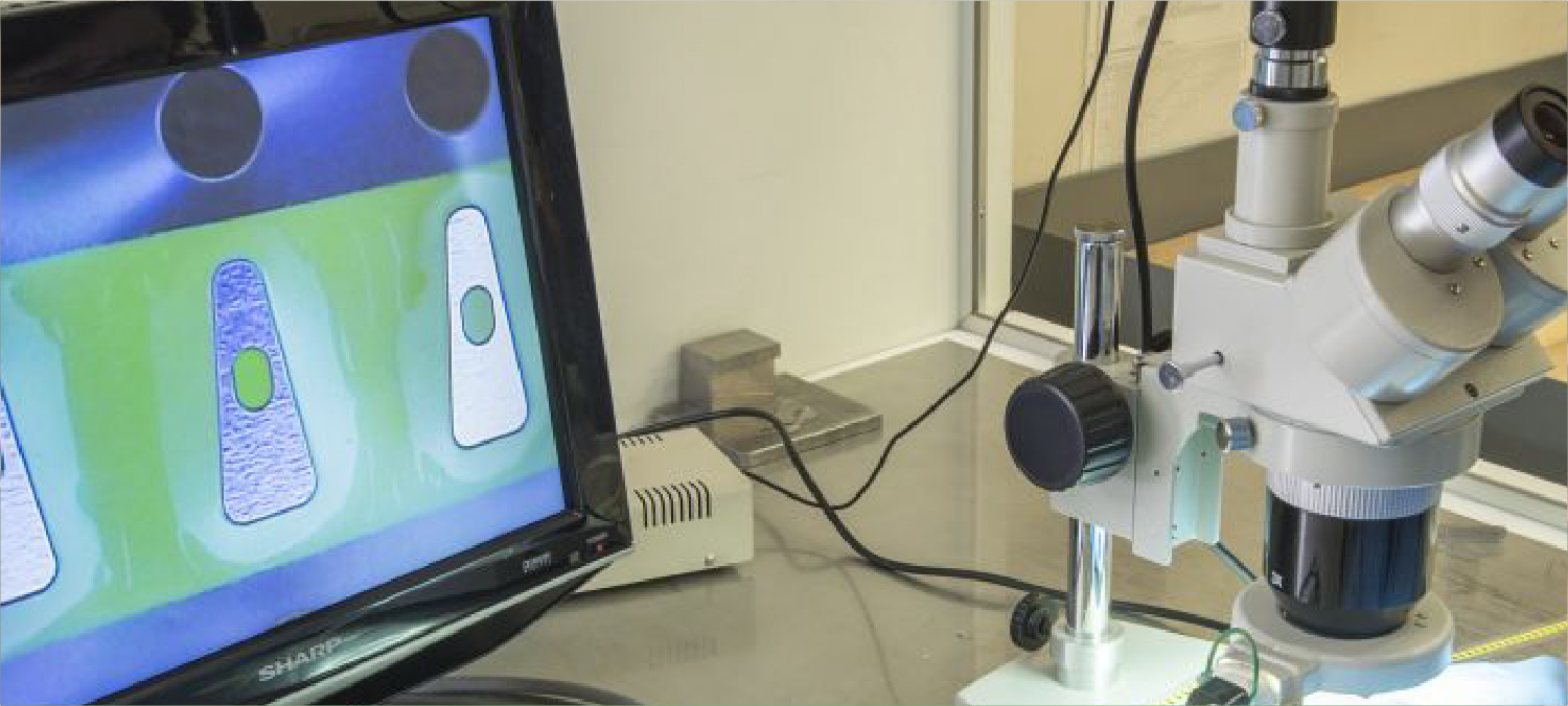 microscope